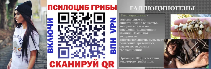 kraken ССЫЛКА  Дмитриев  Псилоцибиновые грибы Psilocybine cubensis 