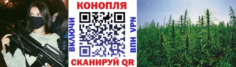 Шишки марихуана тримм Дмитриев